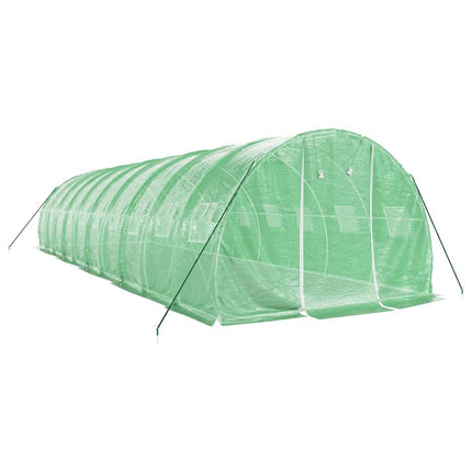 Växthus med stålram grön 30 m² 10x3x2 m