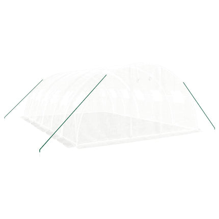 Växthus med stålram vit 24 m² 6x4x2 m