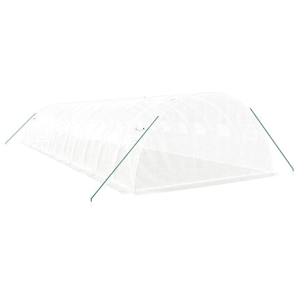 Växthus med stålram vit 48 m² 12x4x2 m