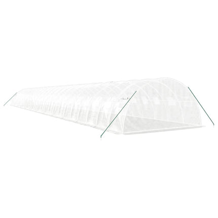 Växthus med stålram vit 96 m² 24x4x2 m