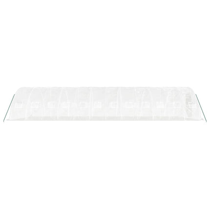 Växthus med stålram vit 60 m² 12x5x2,3 m