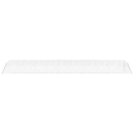 Växthus med stålram vit 100 m² 20x5x2,3 m