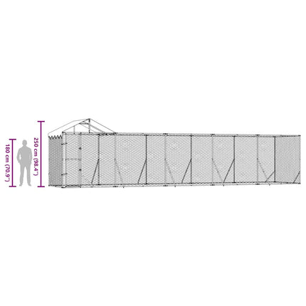 Hundgård med tak silver10x2x2,5 m galvaniserat stål