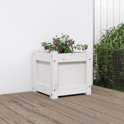 Odlingslåda vit 31x31x31 cm massiv furu