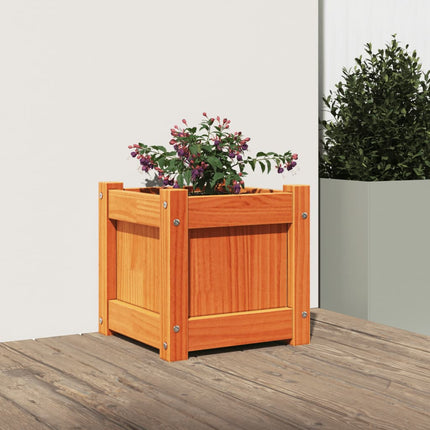 Odlingslåda vaxbrun 31x31x31 cm massiv furu