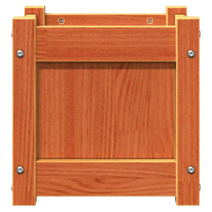 Odlingslåda vaxbrun 31x31x31 cm massiv furu