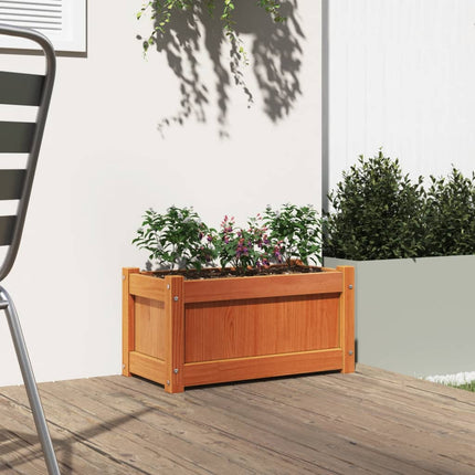 Odlingslåda vaxbrun 60x31x31 cm massiv furu