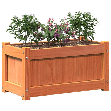 Odlingslåda vaxbrun 60x31x31 cm massiv furu