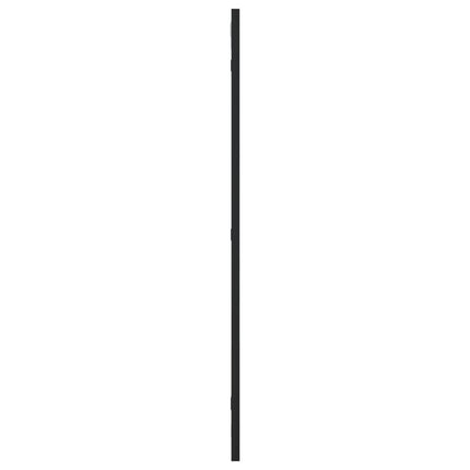 Väggspegel svart 40x80 cm rektangulär järn