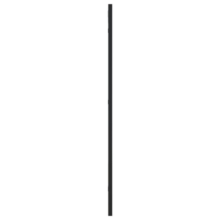 Väggspegel svart 40x80 cm rektangulär järn