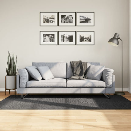 Matta IZA kort lugg skandinavisk look antracit 100x200 cm