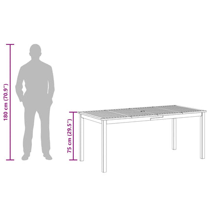 Trädgårdsbord 180x90x75 cm massivt akaciaträ