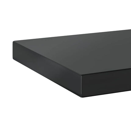 Vägghyllor 2 st 100x23,5 cm svart rostfritt stål