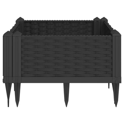 Odlingslåda med piggar svart 42,5x42,5x28,5 cm PP