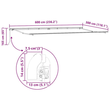 Markis manuellt infällbar antracit&vit 600x300 cm