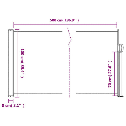 Infällbar sidomarkis svart 100x500 cm