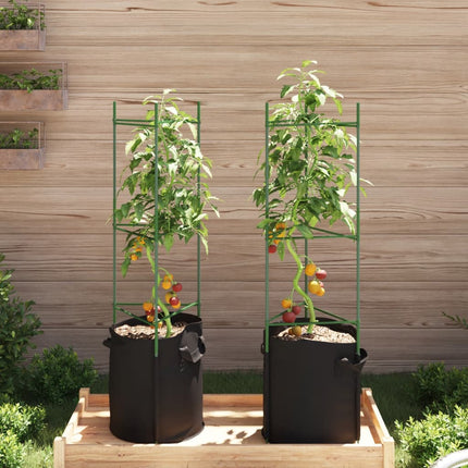 Tomatbur med växtpåse 2 st 116 cm stål och PP