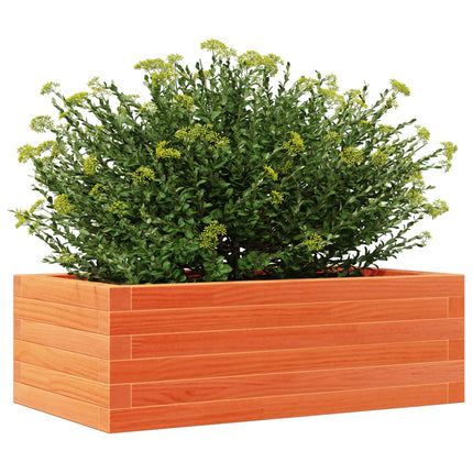 Odlingslåda vaxbrun 70x40x23 cm massiv furu