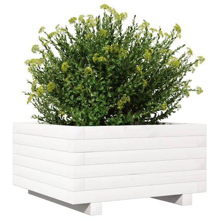 Odlingslåda vit 50x50x26,5 cm massiv furu