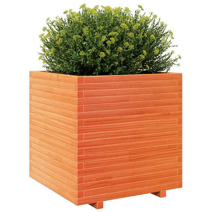Odlingslåda vaxbrun 70x70x72,5 cm massiv furu
