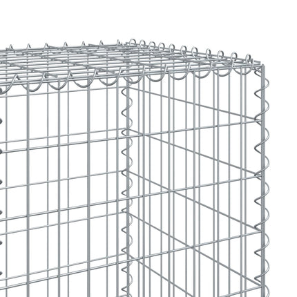Gabionkorg med skydd 300x50x150 cm galvaniserat järn