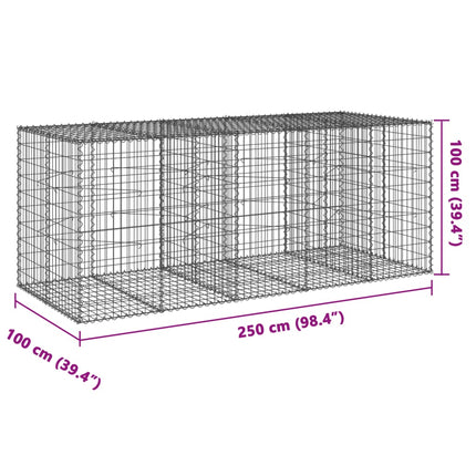 Gabionkorg med skydd 250x100x100 cm galvaniserat järn
