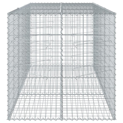 Gabionkorg med skydd 300x100x100 cm galvaniserat järn