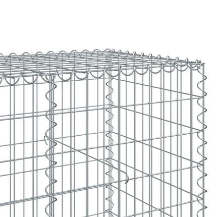 Gabionkorg med skydd 300x100x100 cm galvaniserat järn