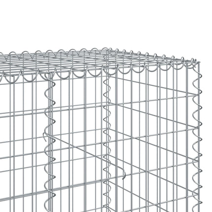 Gabionkorg med skydd 600x100x100 cm galvaniserat järn