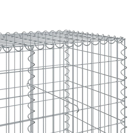 Gabionkorg med skydd 800x100x100 cm galvaniserat järn