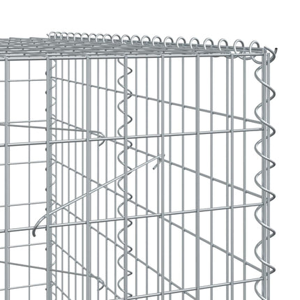 Gabionkorg med skydd 250x100x200 cm galvaniserat järn
