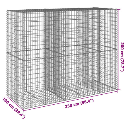 Gabionkorg med skydd 250x100x200 cm galvaniserat järn