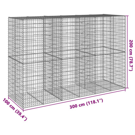 Gabionkorg med skydd 300x100x200 cm galvaniserat järn