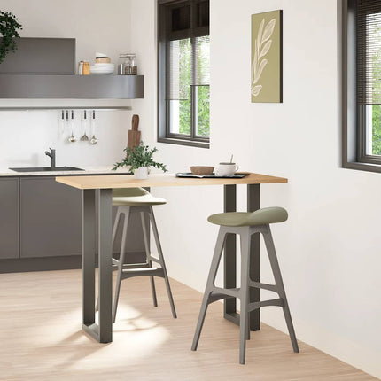 Barbordsben U-formade 2 st antracit 40x(100-101) cm stål