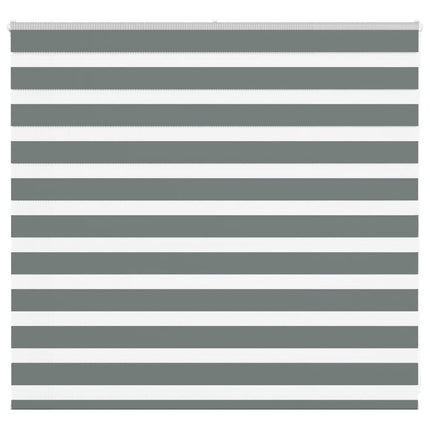 Rullgardin zebra mörkgrå 160x100 cm tyg bredd 155,9cm polyester