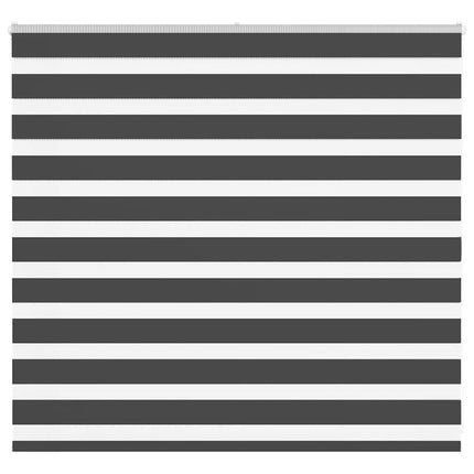 Rullgardin zebra svart 160x100 cm tyg bredd 155,9cm polyester
