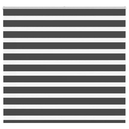 Rullgardin zebra svart 165x100 cm tyg bredd 160,9cm polyester