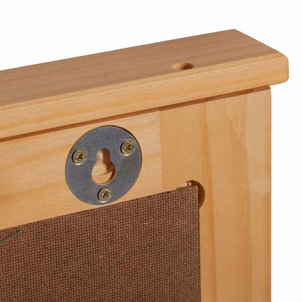 Spegel med spegel VIGO Honung brun 55,5 x 5 x 70 cm Massiv furu