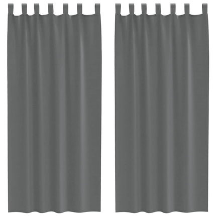 Voile gardiner med öglor 2 st mörkgrå 140x225 cm