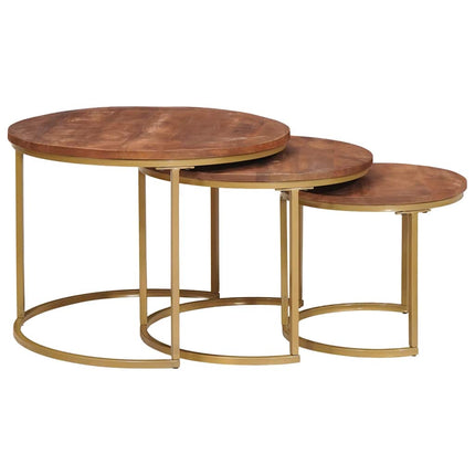 Nesting Kaffe Bord 3 pcs Honung brun Massivt Mangoträ och stål