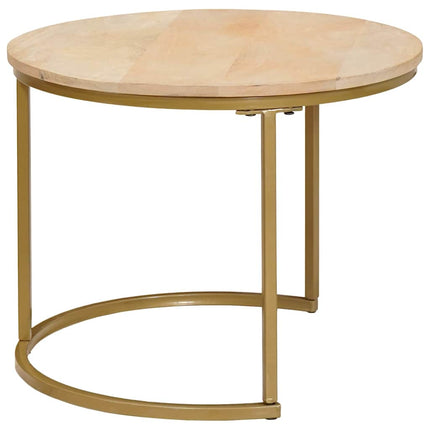 Nesting Kaffe Bord 2 pcs Brun Massivt Mangoträ och stål