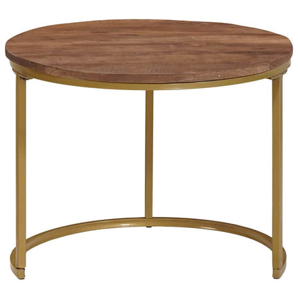 Nesting Kaffe Bord 2 pcs Mörkbrun Massivt Mangoträ och stål