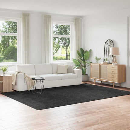 Anti-glid Shaggy Matta Mörkgrå 240 x 340 cm PP