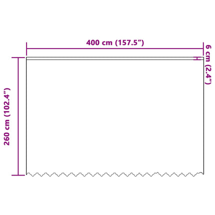 Spetsgardin med gardiner Blommor Vit 260 x 400 cm Polyester