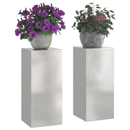 Växtställ 2 pcs Silver 24 x 24 x 55 cm Rostfritt stål