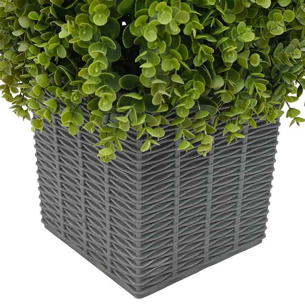 Eucalyptus Grästårn Grön 27 x 27 x 90 cm Plast