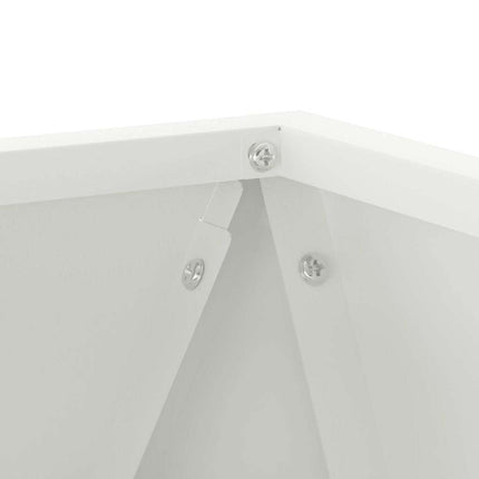 Planteringskärl 2 pcs Vit 30 x 30 x 30 cm Stål