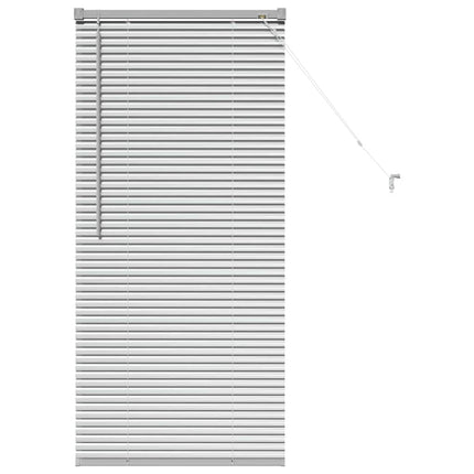 Persienner Silver 130 x 60 cm Aluminium