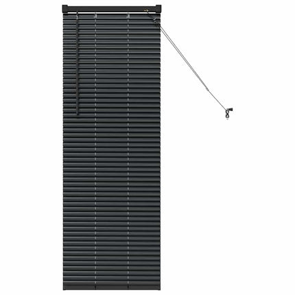 Persienner Svart 130 x 55 cm Aluminium