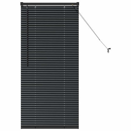 Persienner Svart 60 x 2,5 x 130 cm Aluminium
